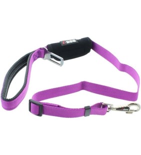 I DOG Laisse Confort SECURITE - L 100 cm - Violet et gris - Pour chien